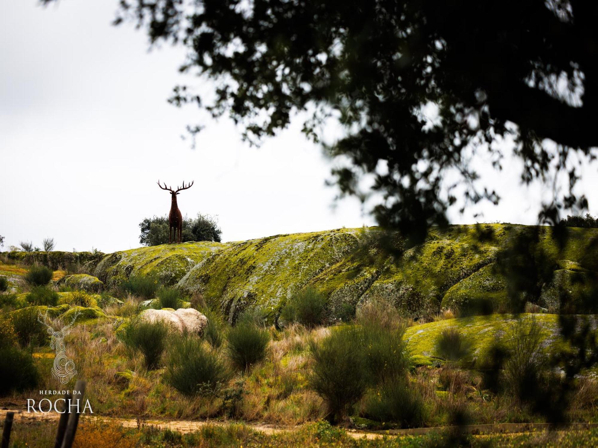 Herdade Da Rocha - Boutique Lodge Crato Exterior photo