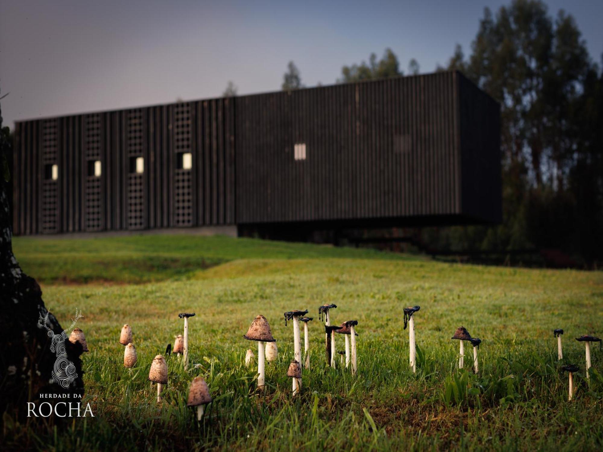 Herdade Da Rocha - Boutique Lodge Crato Exterior photo